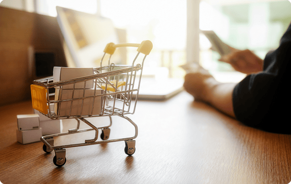 eCommerce software development solutions